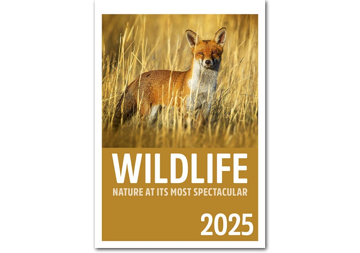 Wildlife Mini Desk Calendar