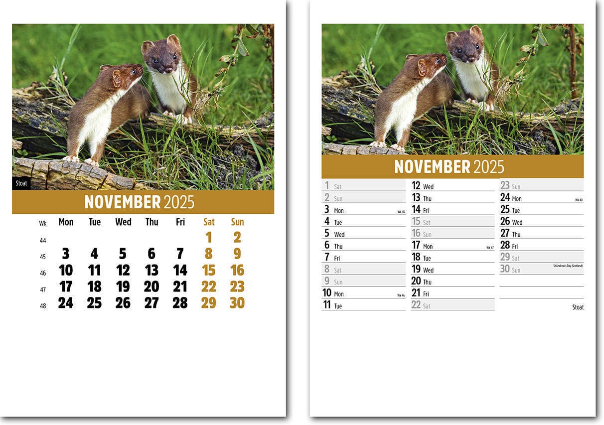 Wildlife Mini Desk Calendar