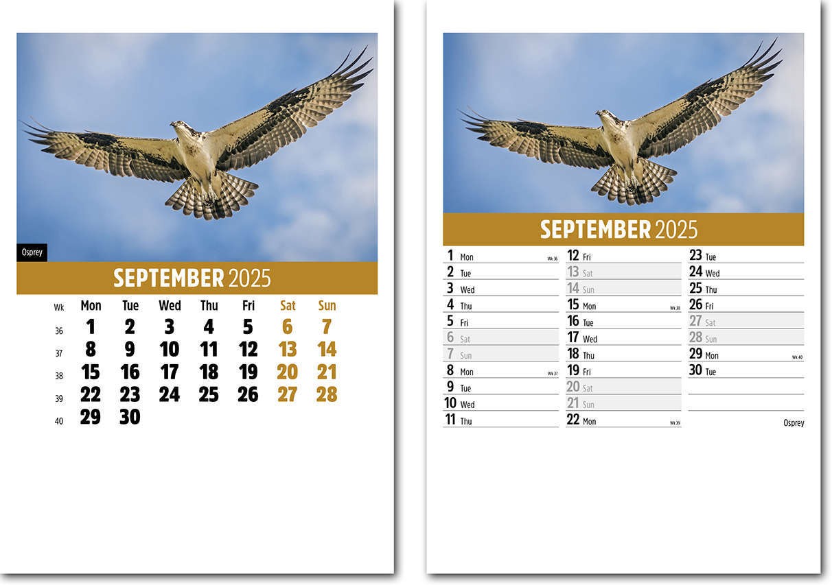 Wildlife Mini Desk Calendar