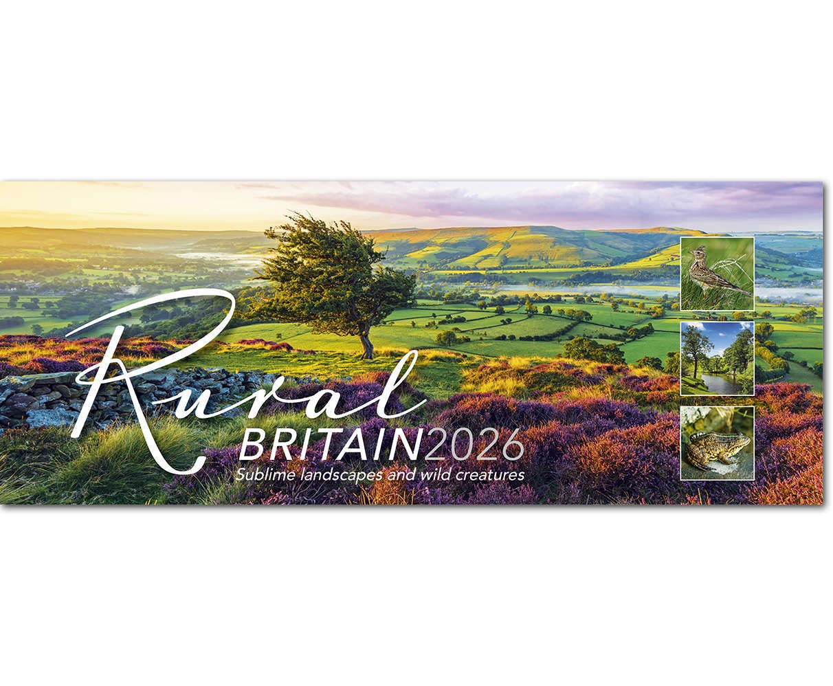 Rural Britain Desk Calendar