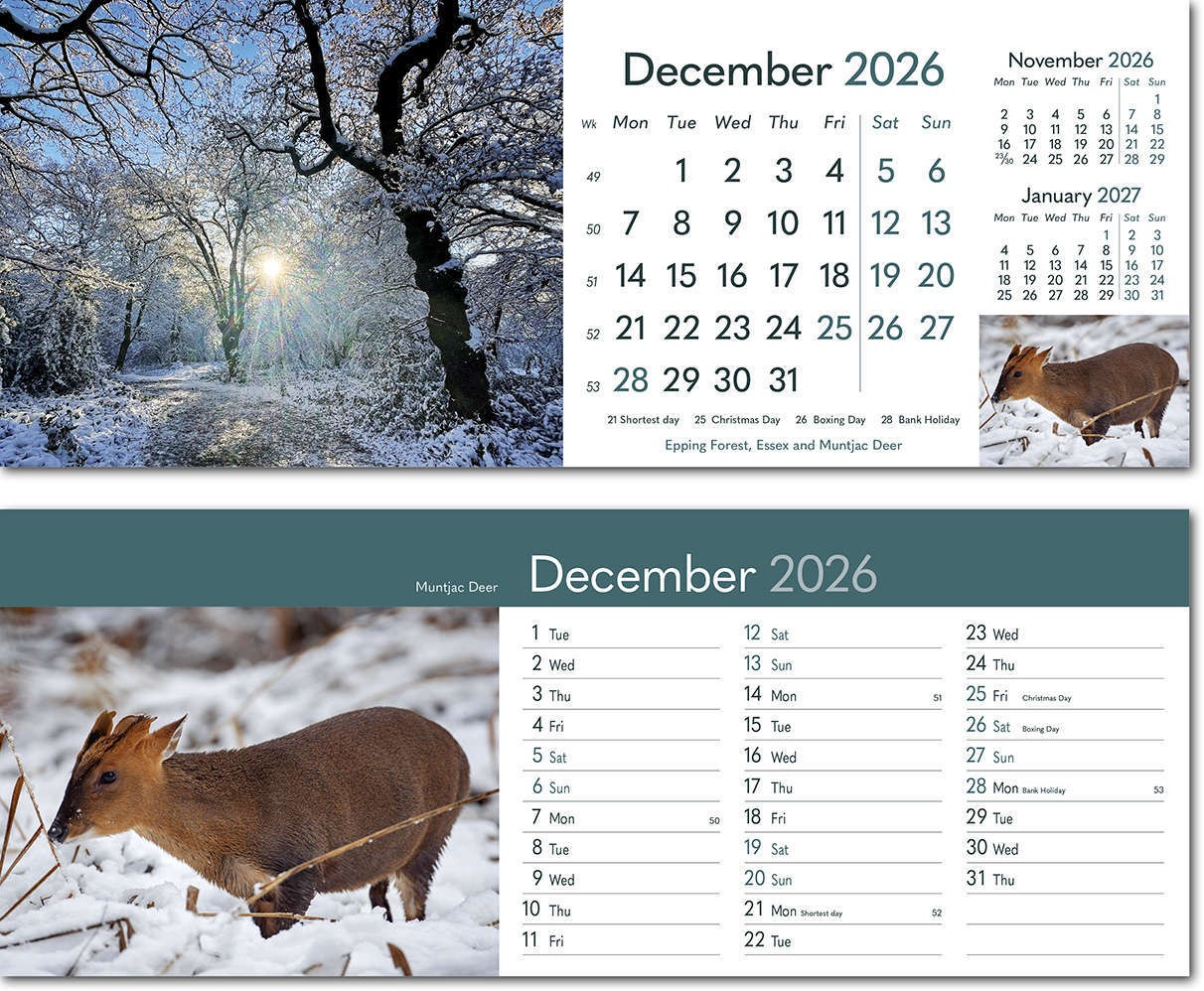 Rural Britain Desk Calendar