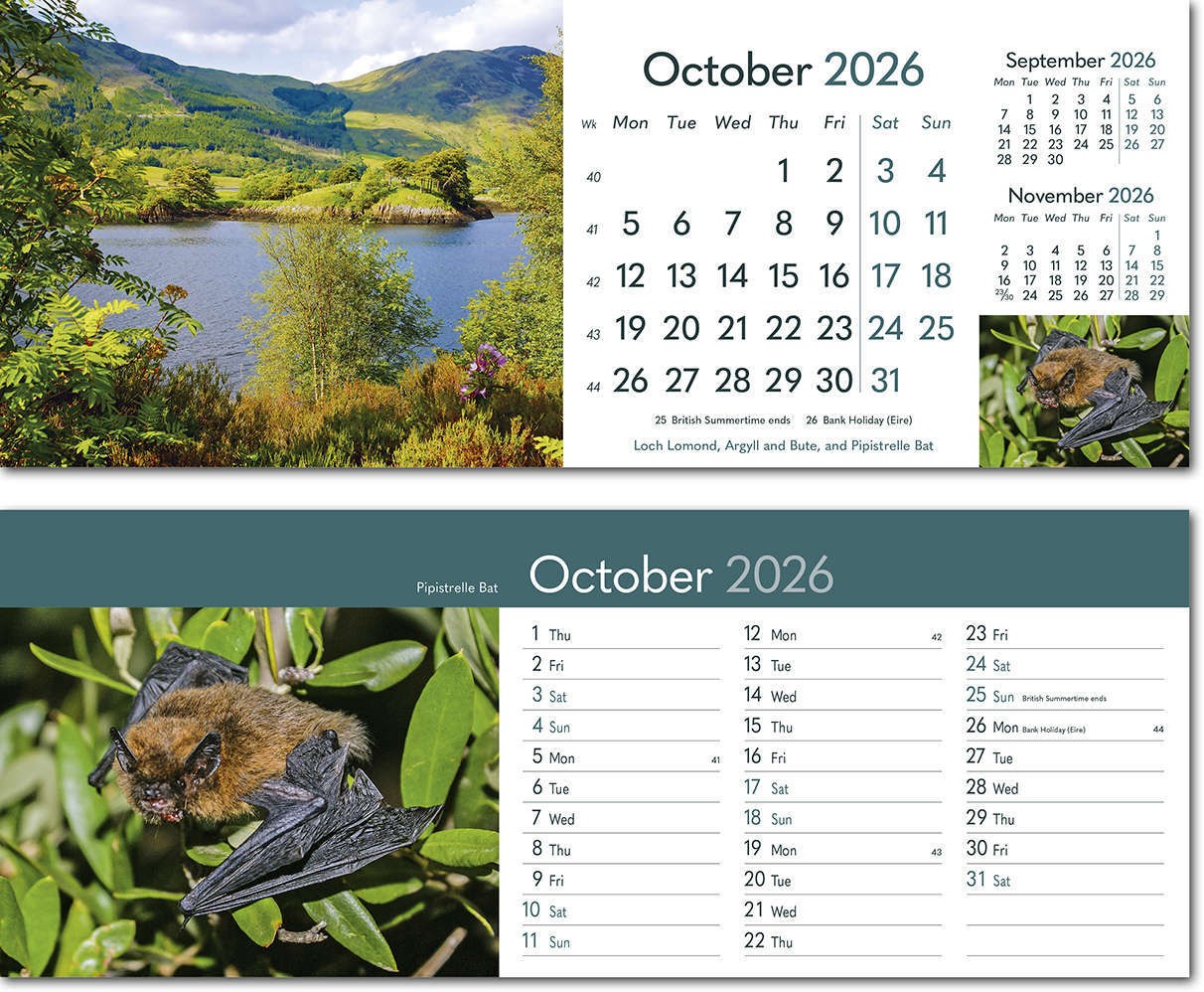 Rural Britain Desk Calendar