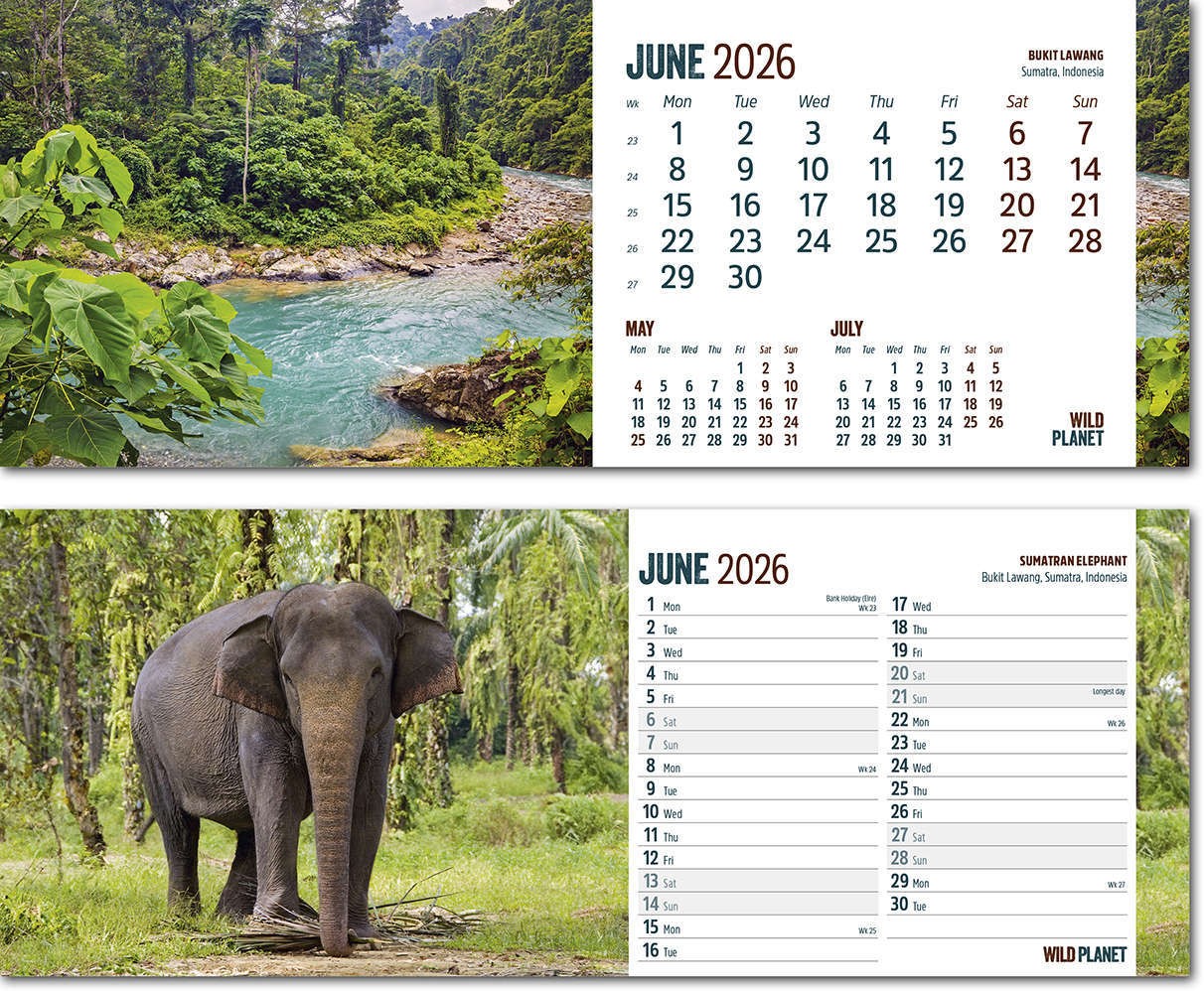 Wild Planet Note Station Desk Calendar 