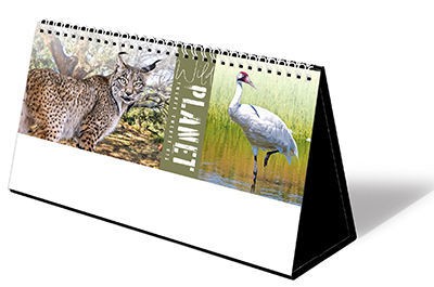 Wild Planet Premium Lined Easel Desk Calendar