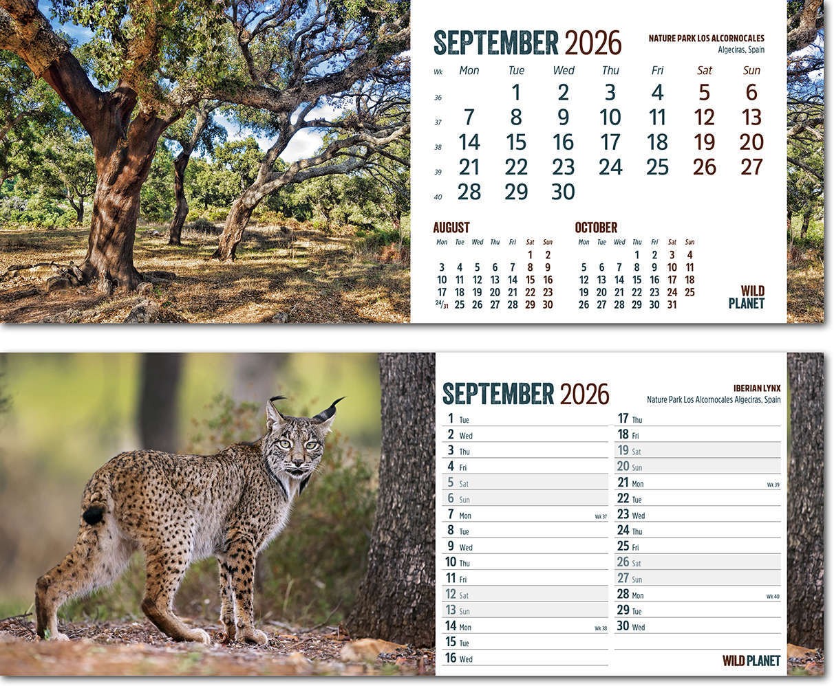 Wild Planet Premium Lined Easel Desk Calendar