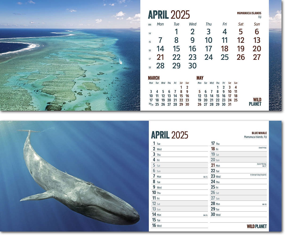 Wild Planet Task Station Desk Calendar