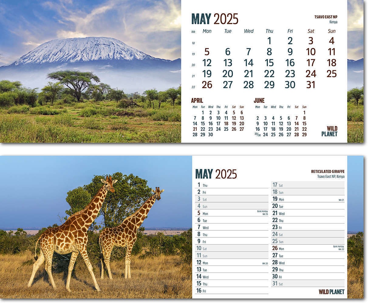 Wild Planet Task Station Desk Calendar