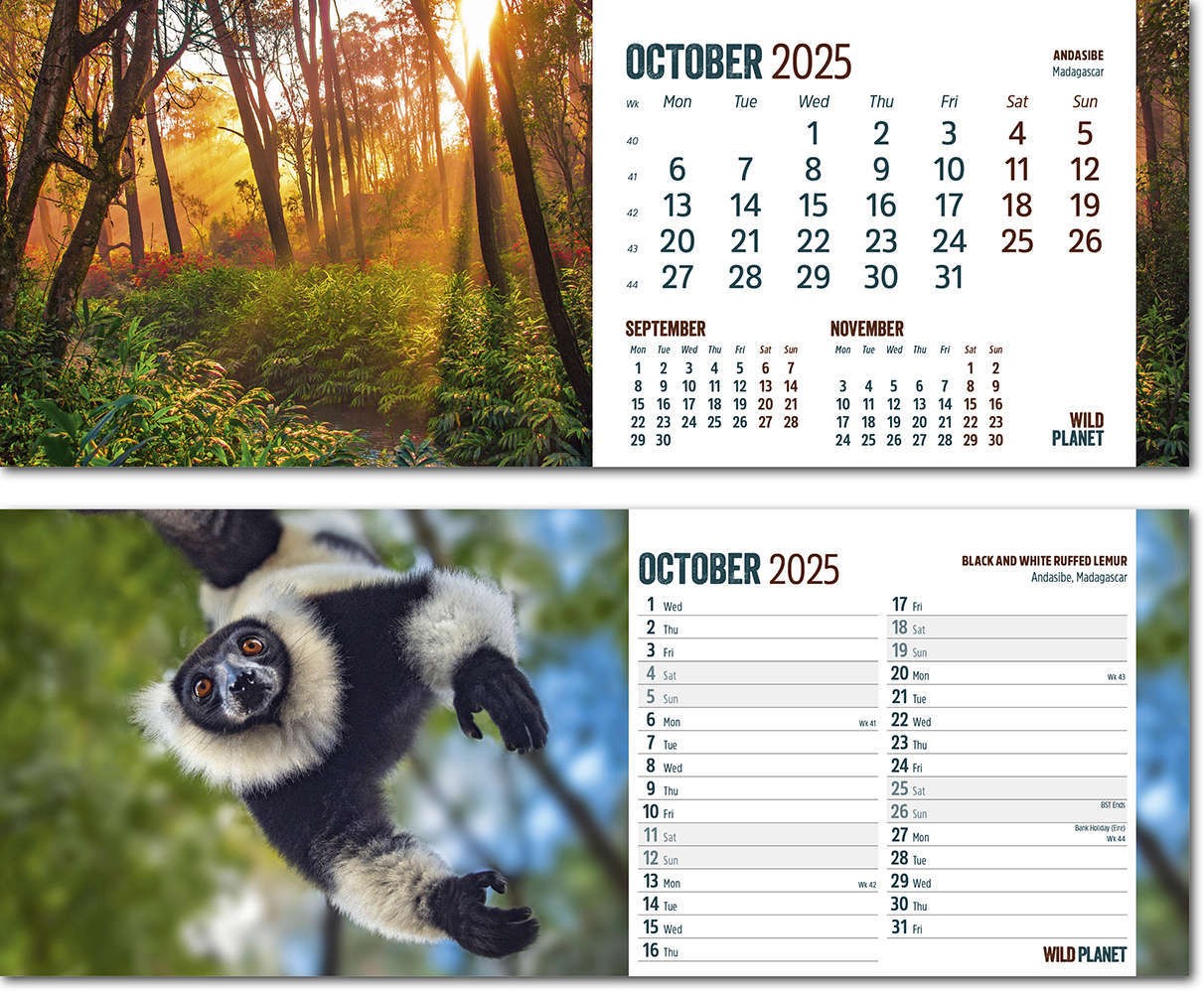 Wild Planet Task Station Desk Calendar