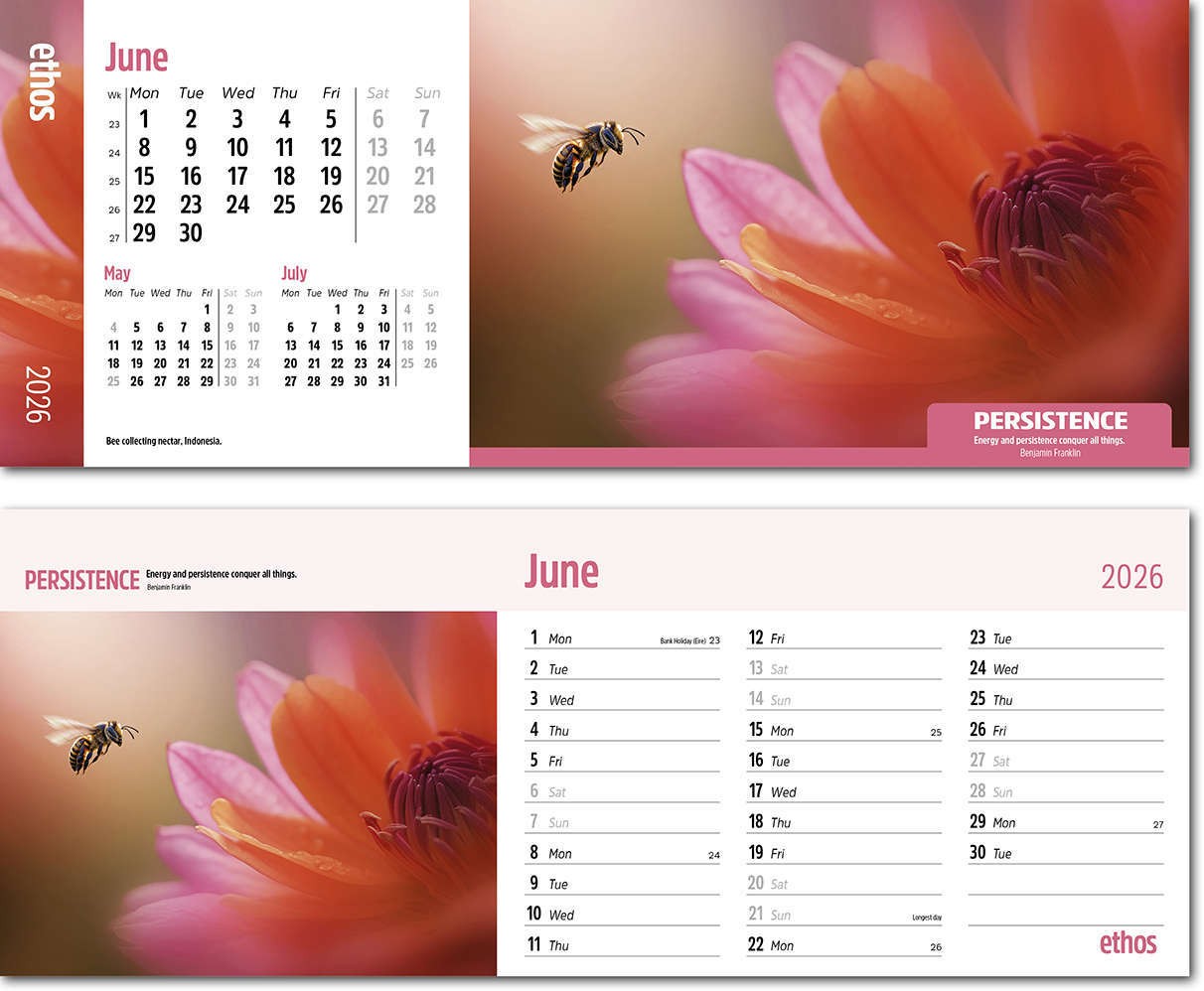 Ethos Task Station Desk Calendar