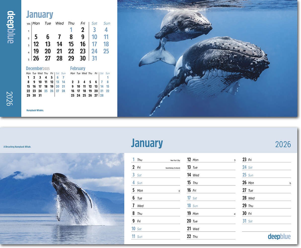 Deep Blue Note Station Desk Calendar