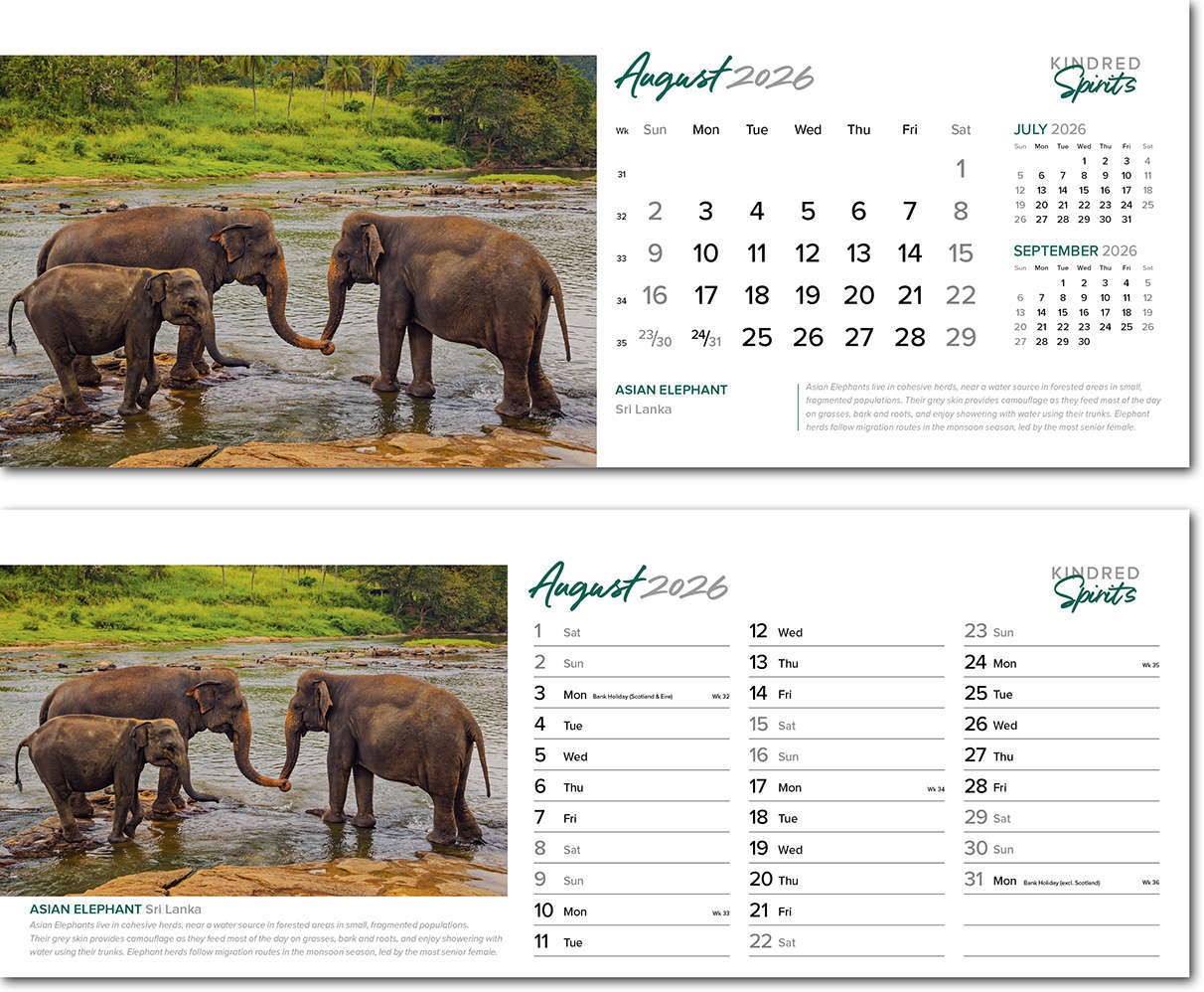 Kindred Spirits Premium Lined Easel Desk Calendar