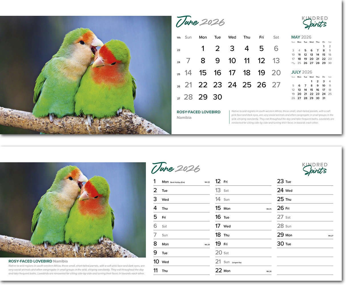 Kindred Spirits Premium Lined Easel Desk Calendar