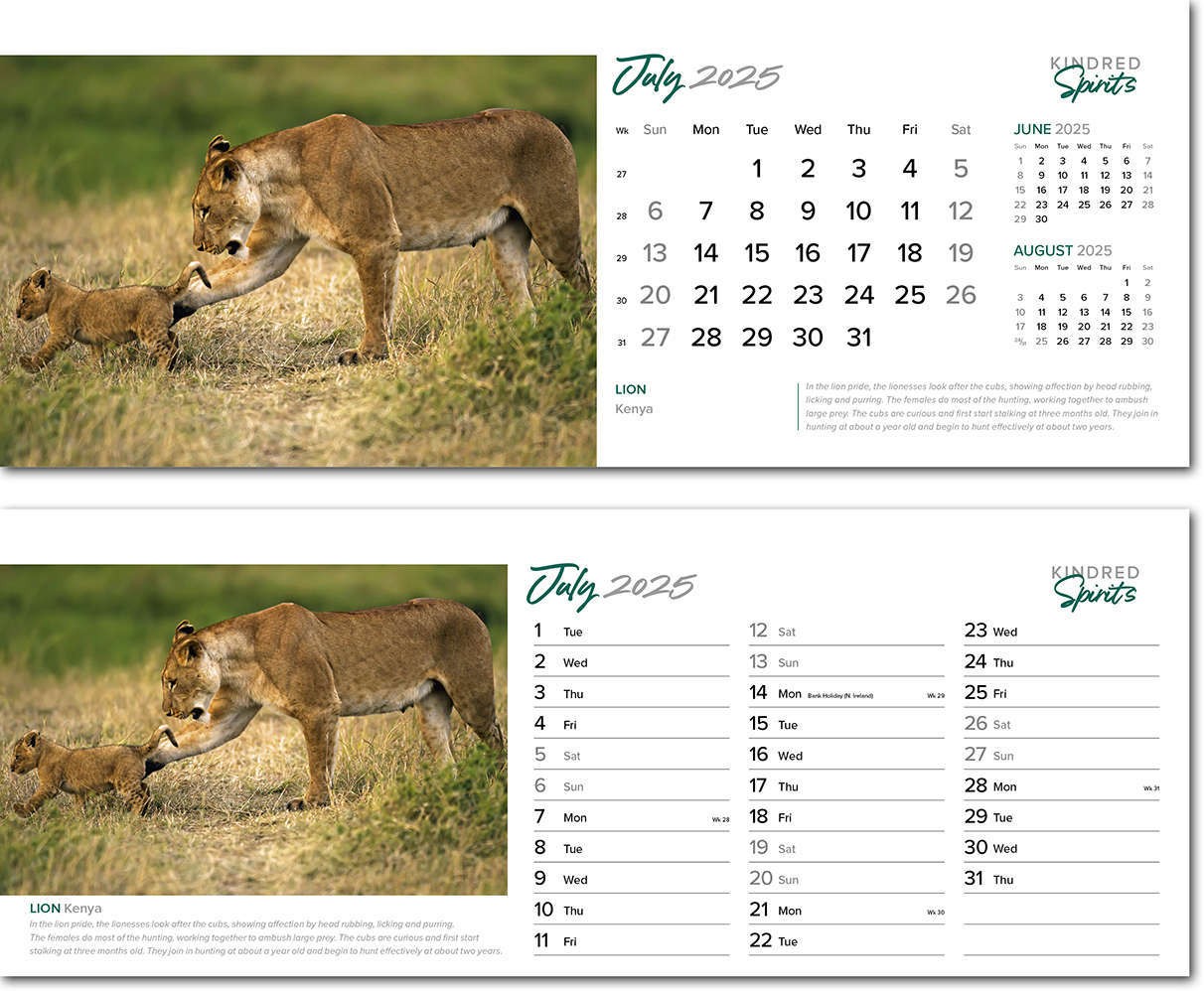 Kindred Spirits Task Station Desk Calendar