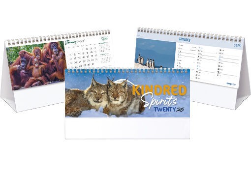 Kindred Spirits Desk Calendar