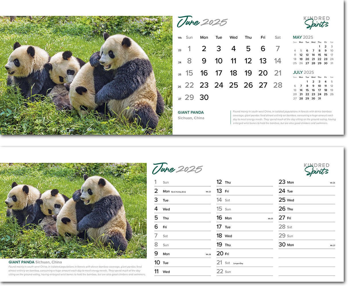 Kindred Spirits Desk Calendar