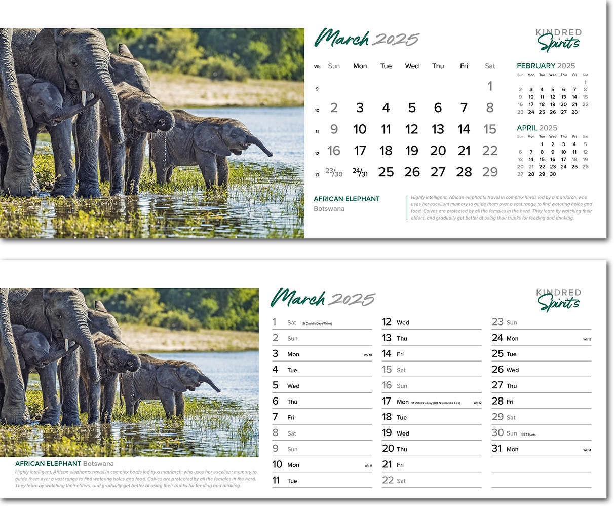 Kindred Spirits Desk Calendar