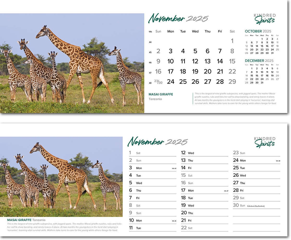 Kindred Spirits Desk Calendar