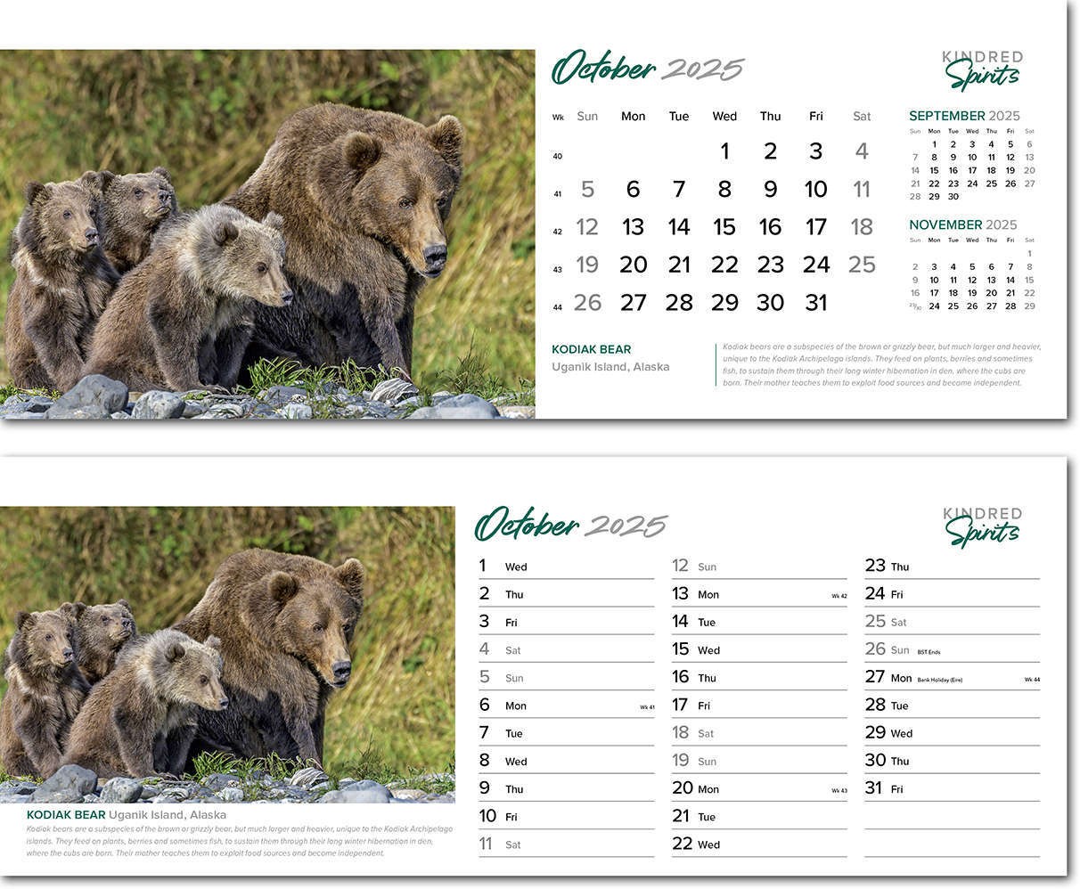 Kindred Spirits Desk Calendar