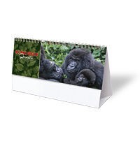 Kindred Spirits Desk Calendar