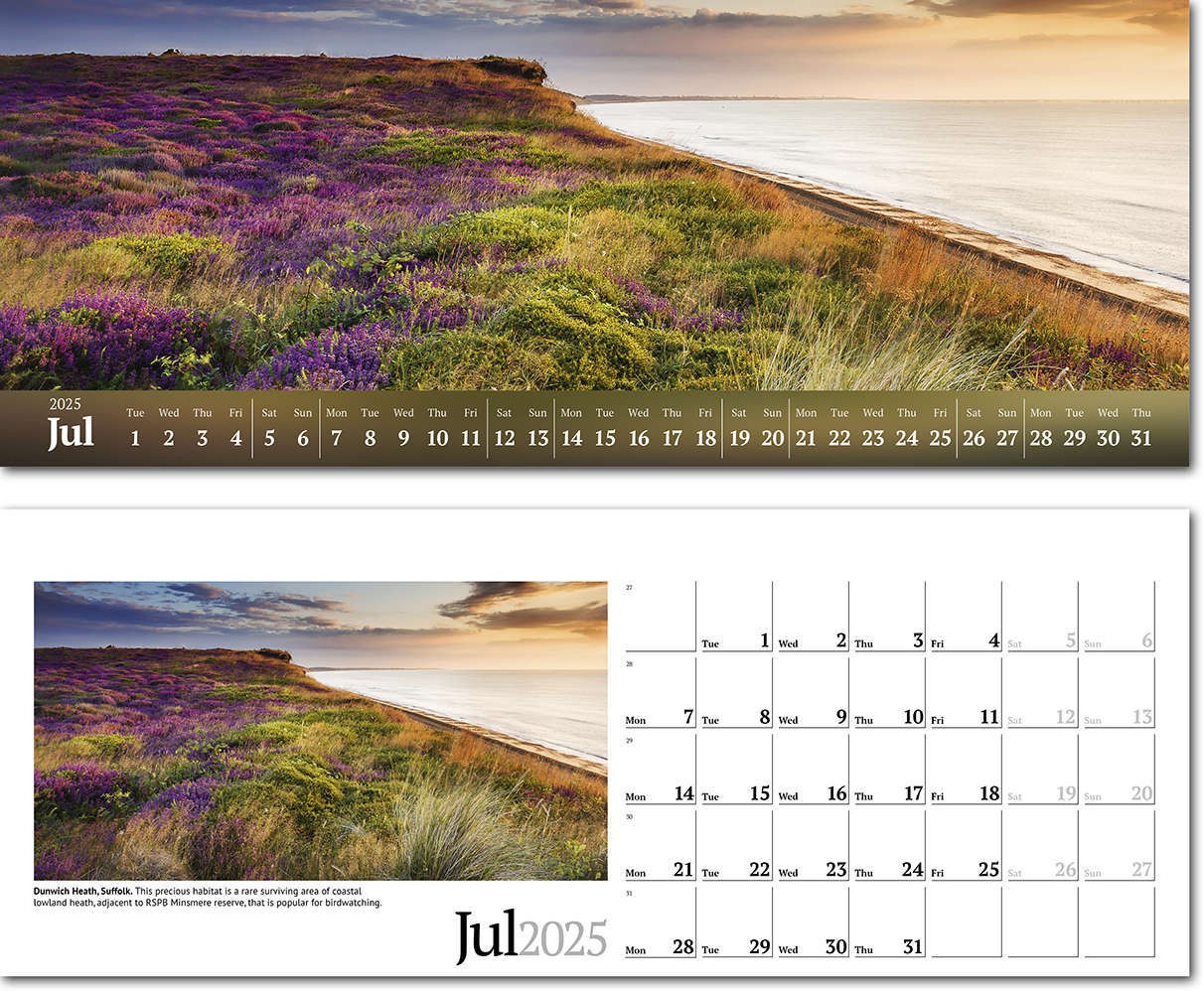 Wild Britain Task Station Desk Calendar