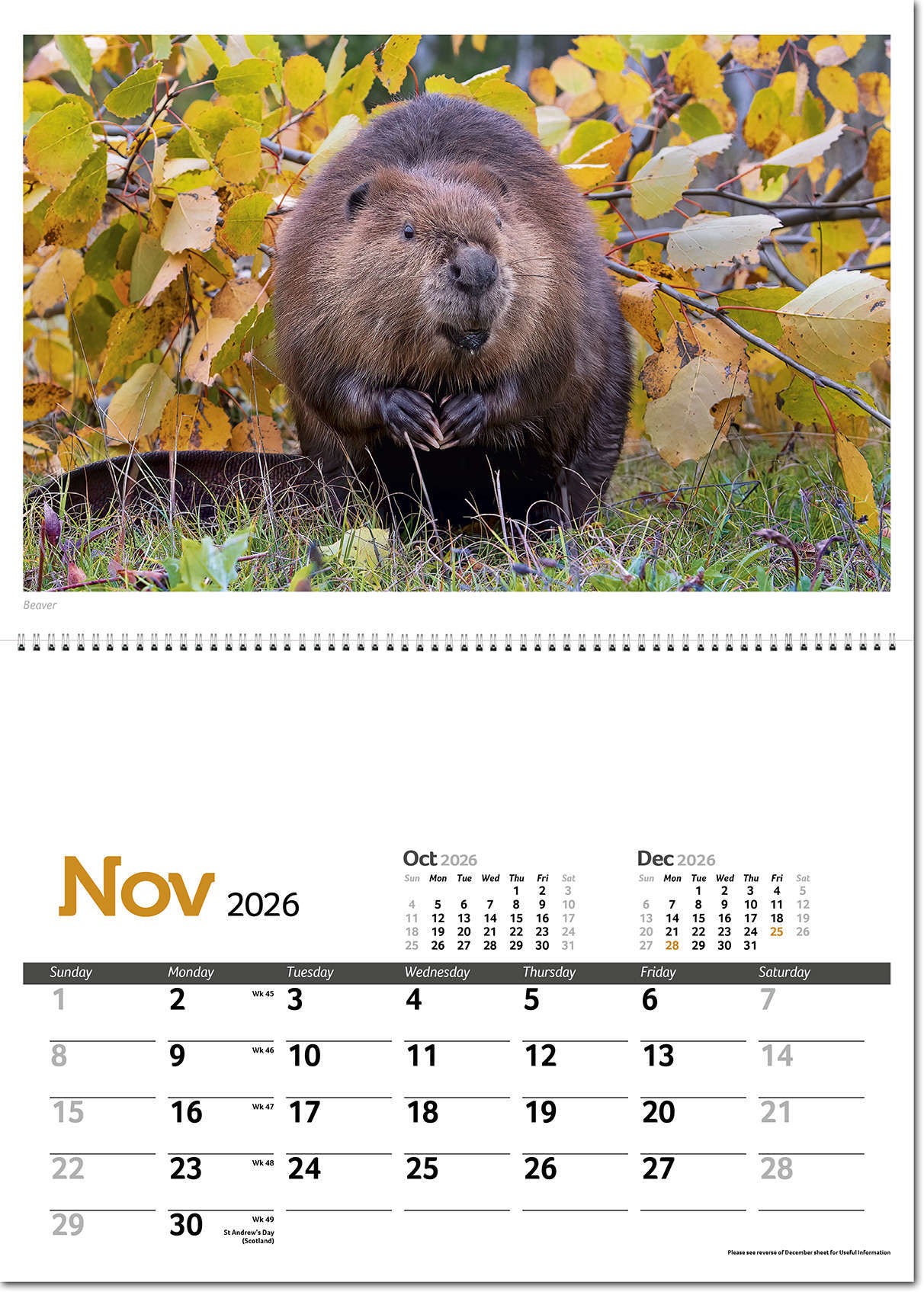 Wildlife in Britain Postage Saver Calendar