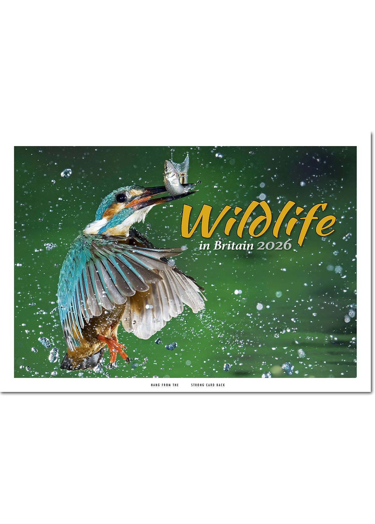 Wildlife in Britain Postage Saver Calendar