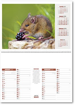 British Wildlife Postage Saver Calendar