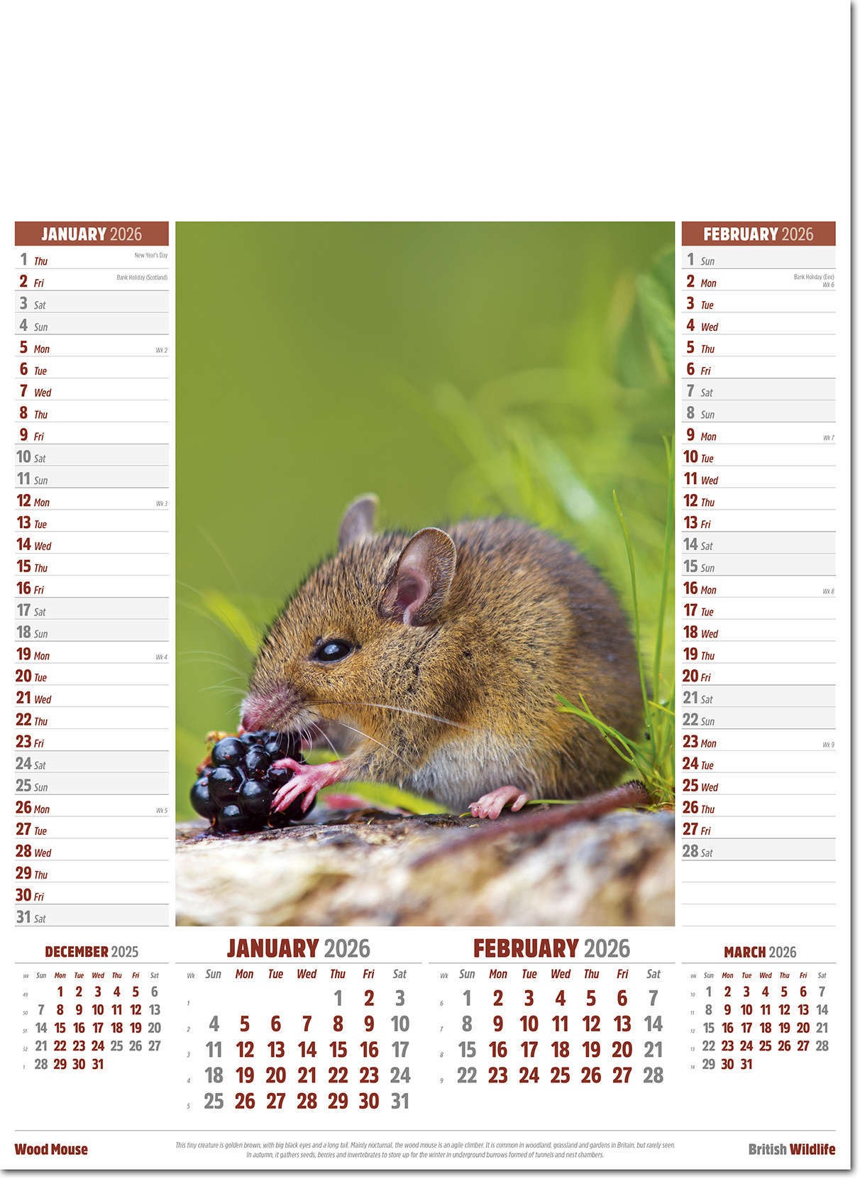 British Wildlife Calendar