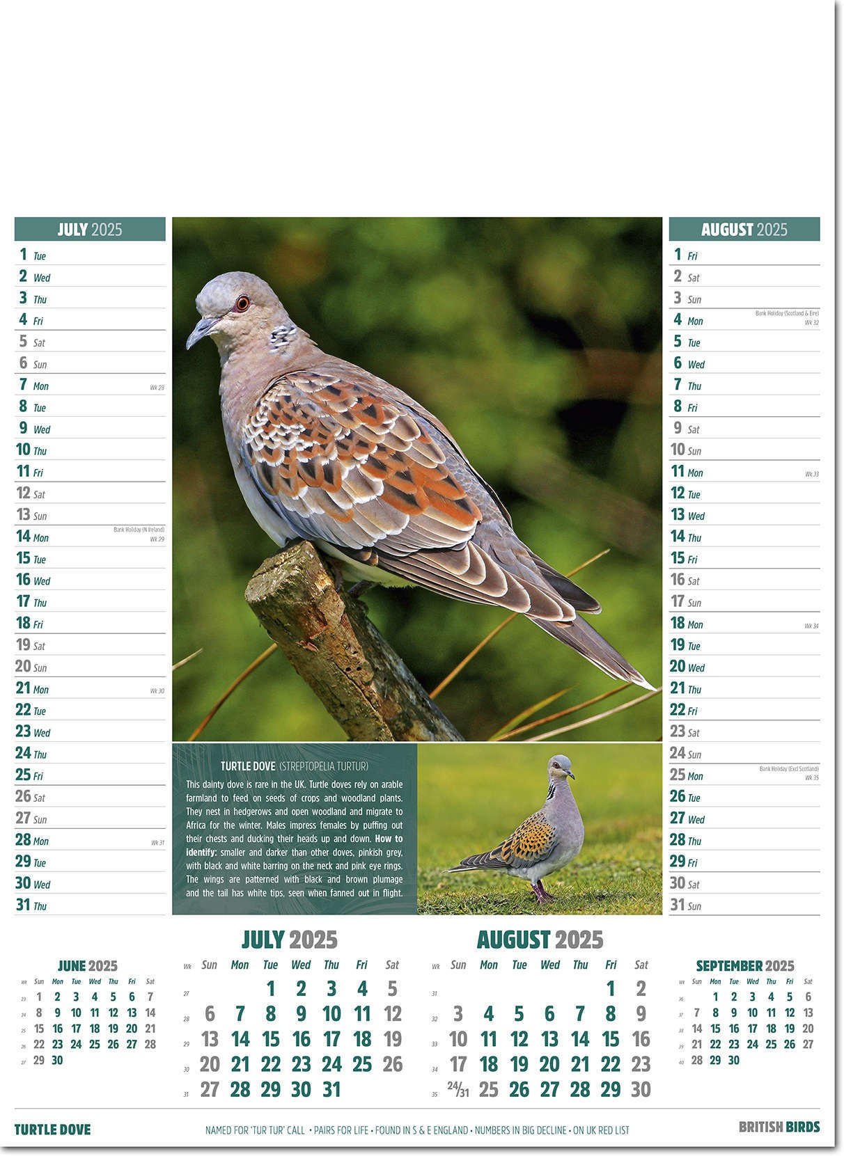 British Birds Calendar