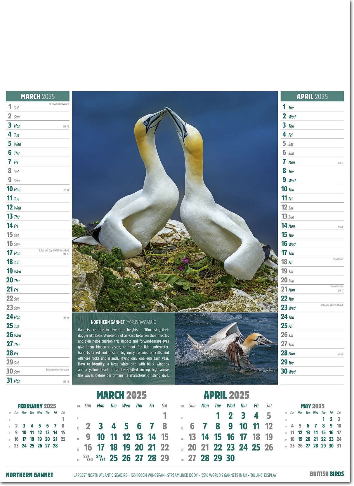 British Birds Calendar