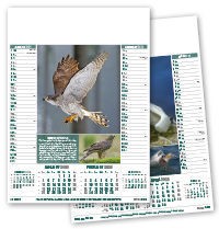 British Birds Calendar