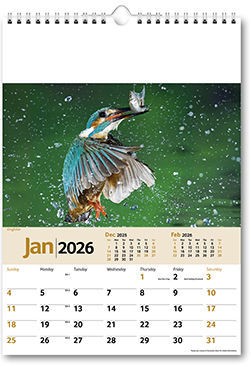 Wildlife Memo Calendar