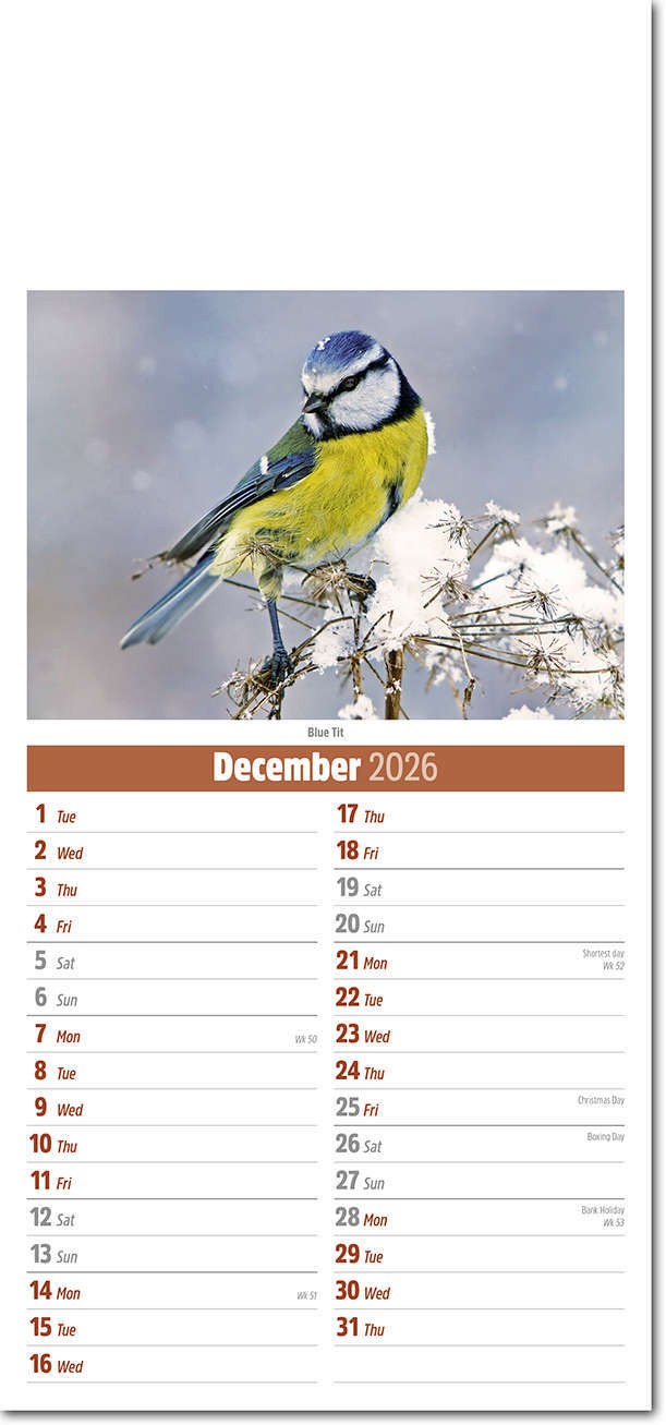 Slimline British Wildlife Compact Calendar