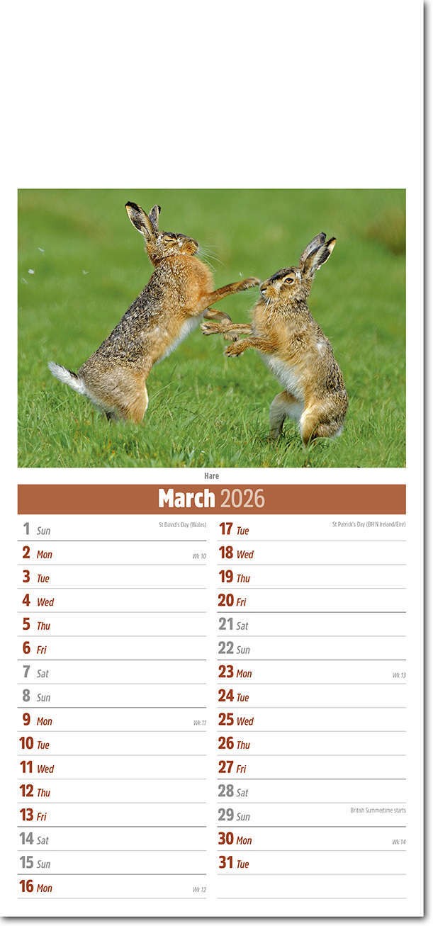 Slimline British Wildlife Compact Calendar