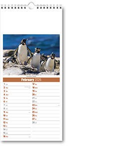 Slimline World Wildlife Compact Calendar